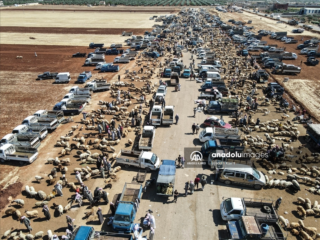 İdlib'de kurban bayramı hazırlıkları