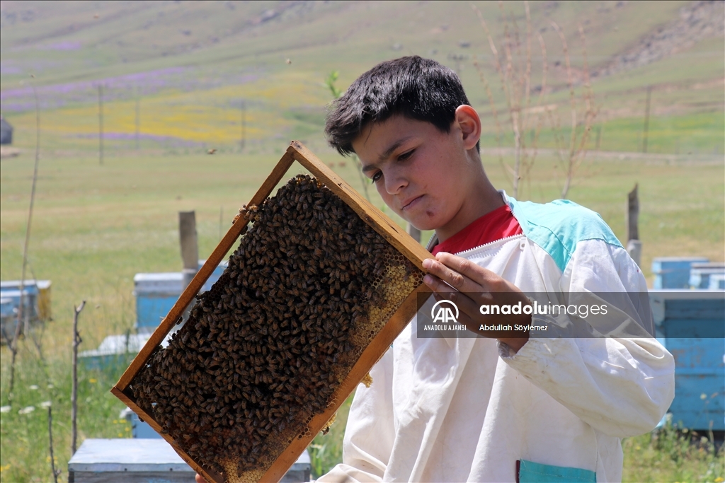 Yaylaları çiçeklerle kaplanan Ağrı'da bal sezonu bereketli geçecek