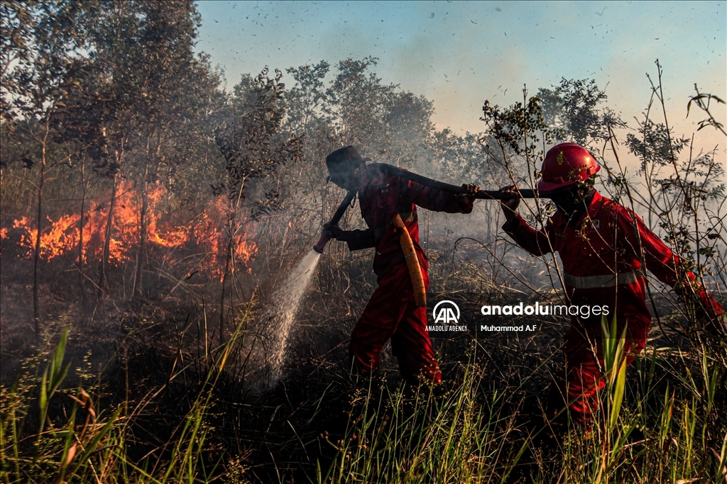 Kebakaran hutan gambut di Ogan Ilir, Sumsel