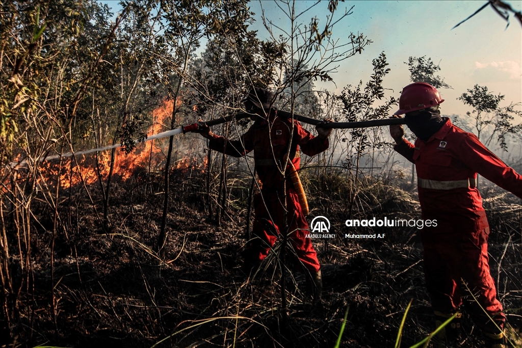 Kebakaran hutan gambut di Ogan Ilir, Sumsel