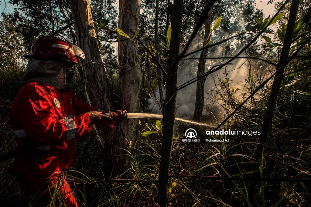 Kebakaran hutan gambut di Ogan Ilir, Sumsel