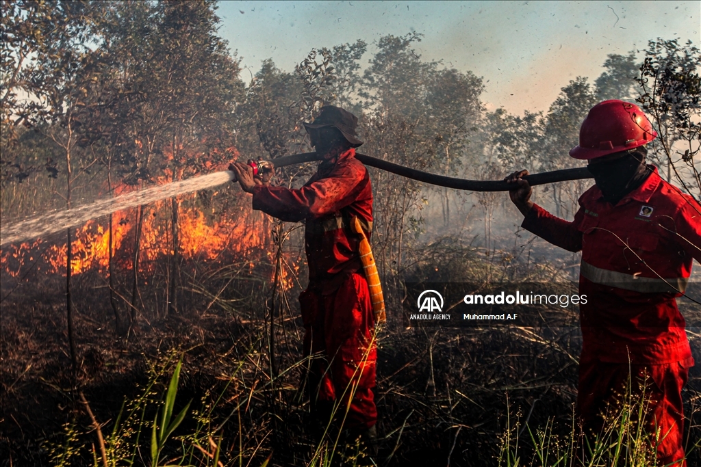 Kebakaran hutan gambut di Ogan Ilir, Sumsel