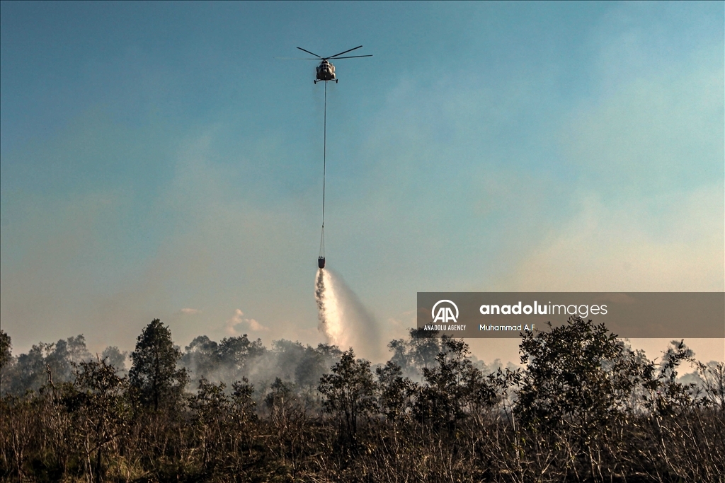 Kebakaran hutan gambut di Ogan Ilir, Sumsel