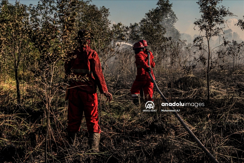 Kebakaran hutan gambut di Ogan Ilir, Sumsel