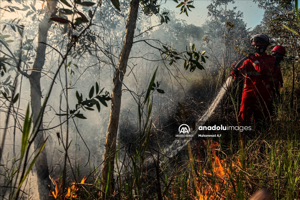 Kebakaran hutan gambut di Ogan Ilir, Sumsel