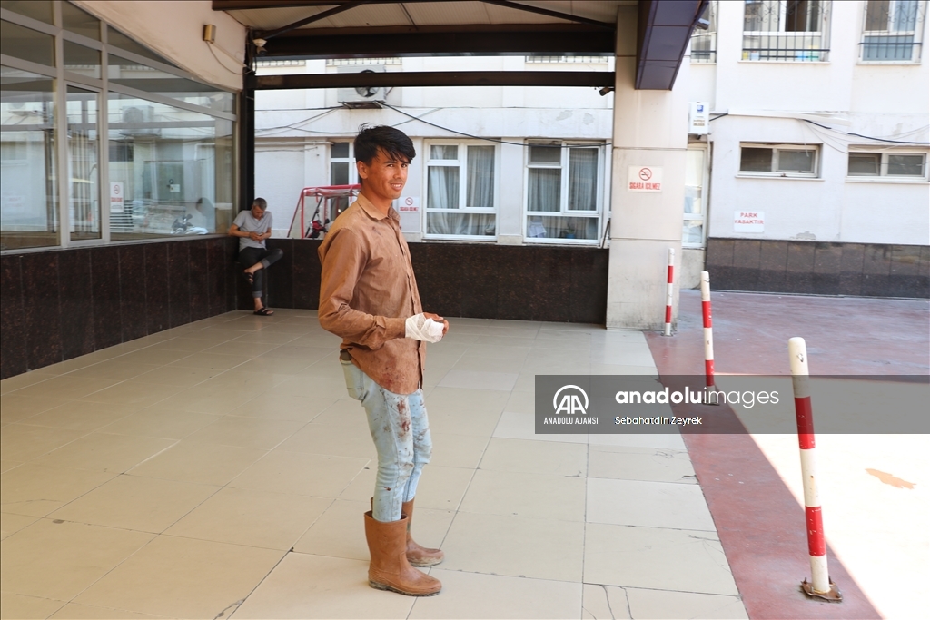 Denizli'de acemi kasaplar hastanelik oldu