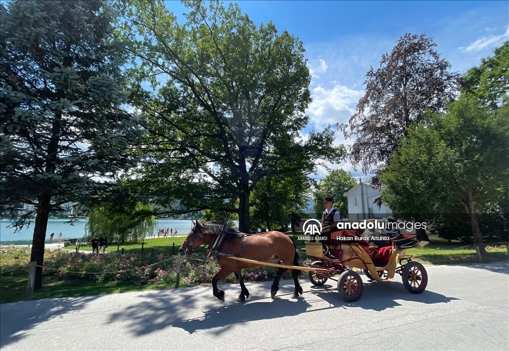 Slovenya'nın gözde ziyaretçi rotası: Bled Gölü