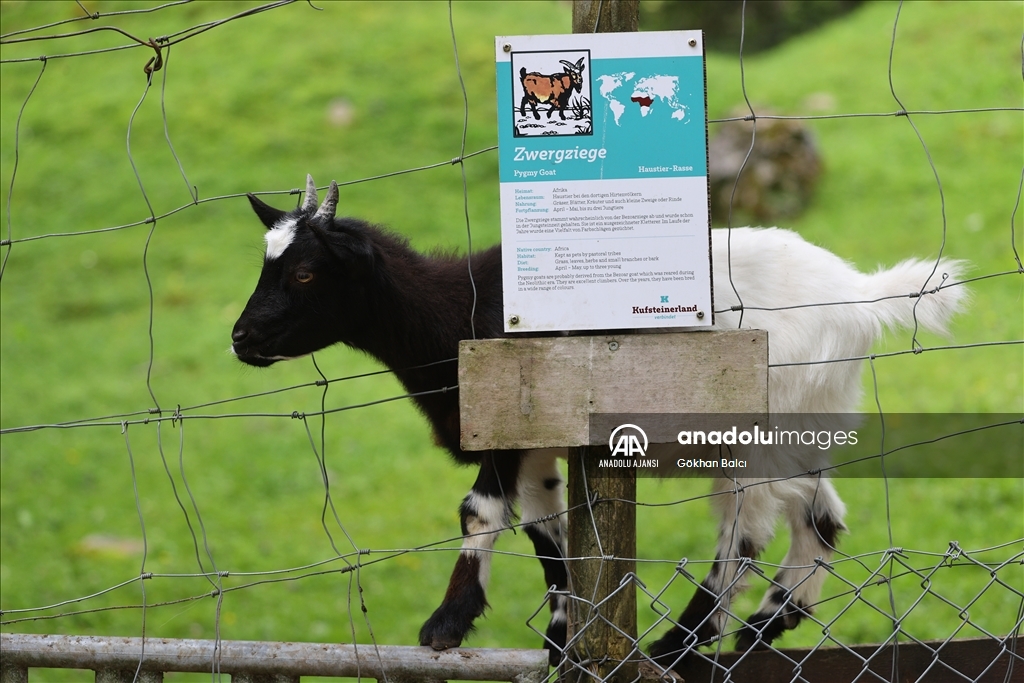 Avusturya'da günlük yaşam