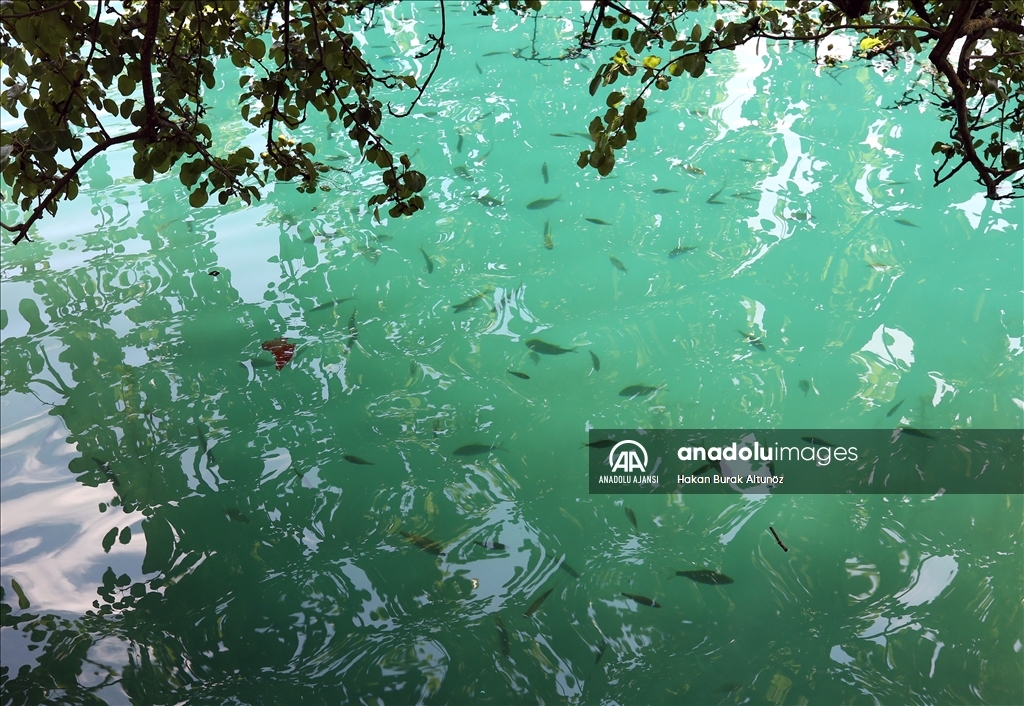 Slovenya'nın gözde ziyaretçi rotası: Bled Gölü