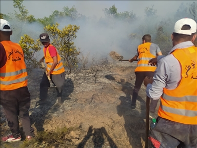 Cuaca panas sulitkan pemadaman kebakaran hutan di Maroko