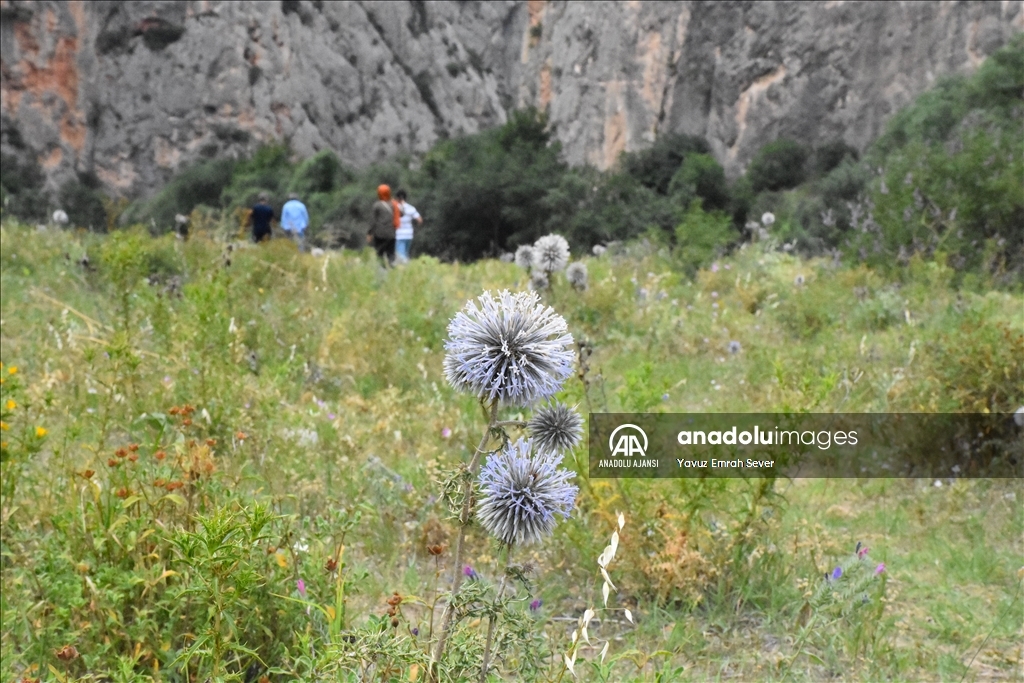 Sakarya Nehri boyunca uzanan 1 kilometrelik kanyon doğa tutkunlarını bekliyor