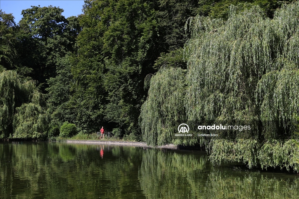 Münih'teki İngiliz Bahçesi