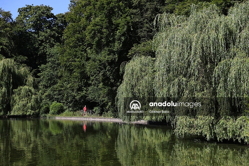 Este es el Jardín Inglés en Múnich, Alemania  8