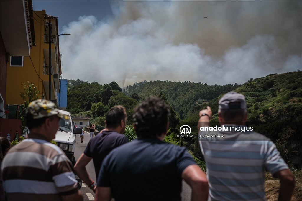 İspanya'daki orman yangınına müdahale ediliyor