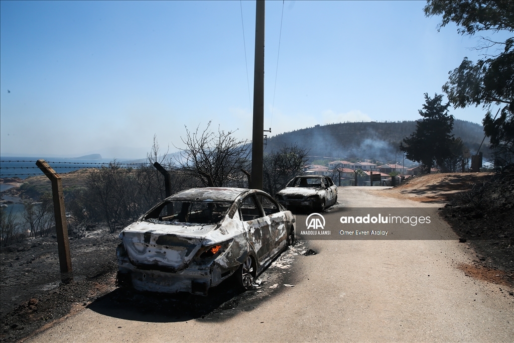 Seferihisar Doğanbey mevkisindeki orman yangını