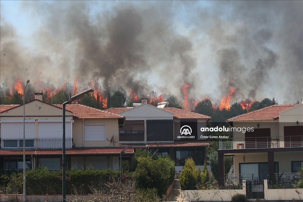 Seferihisar Doğanbey mevkisindeki orman yangını
