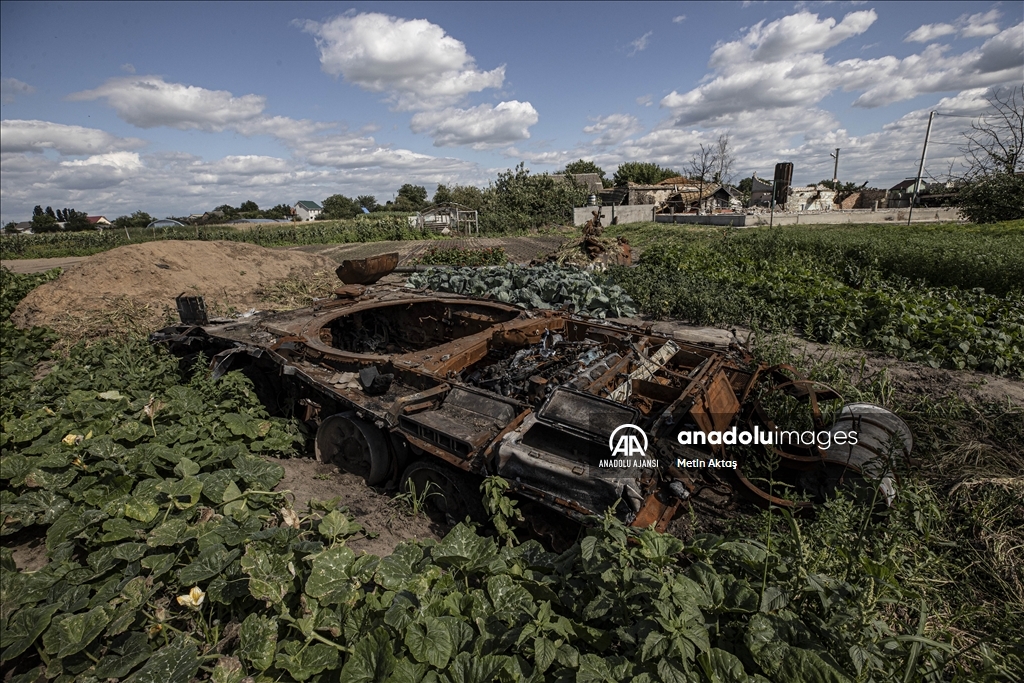 Ukrayna'da bir aile patlamış tank enkazının bulunduğu bahçesinde sebze yetiştiriyor