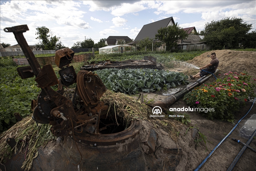 Ukrayna'da bir aile patlamış tank enkazının bulunduğu bahçesinde sebze yetiştiriyor