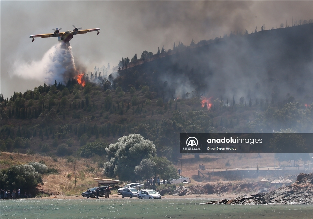 Seferihisar Doğanbey mevkisindeki orman yangını