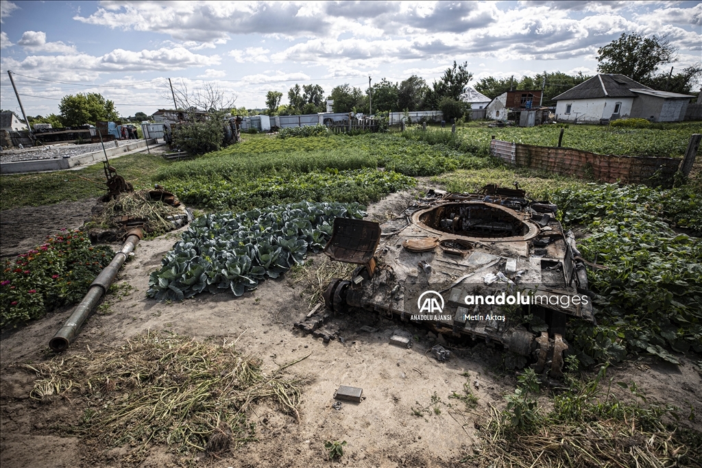 Ukrayna'da bir aile patlamış tank enkazının bulunduğu bahçesinde sebze yetiştiriyor