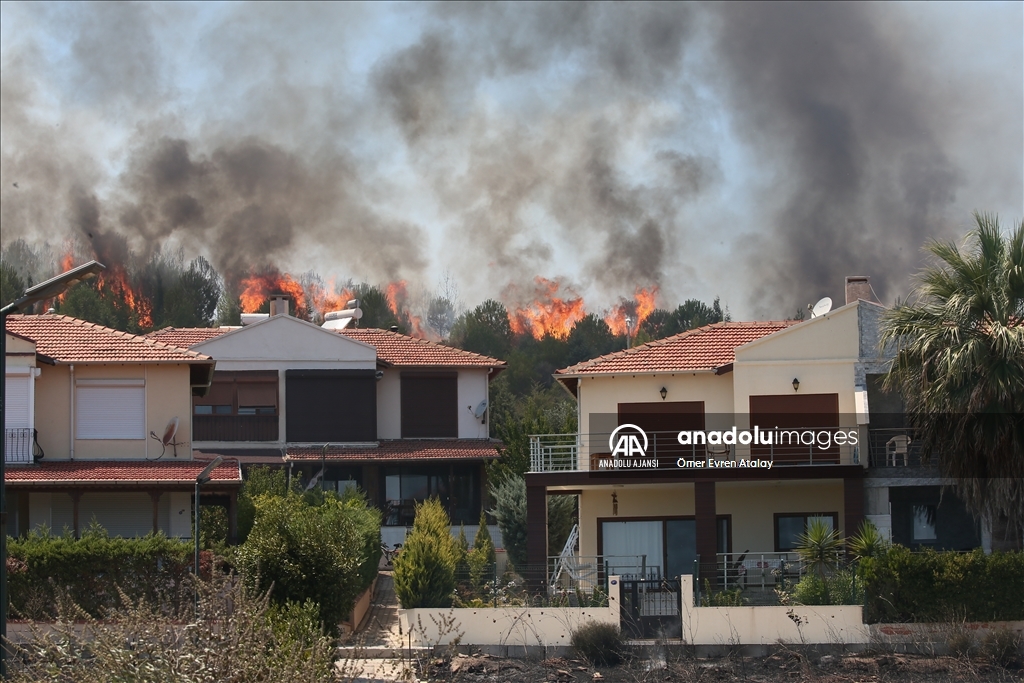Seferihisar Doğanbey mevkisindeki orman yangını