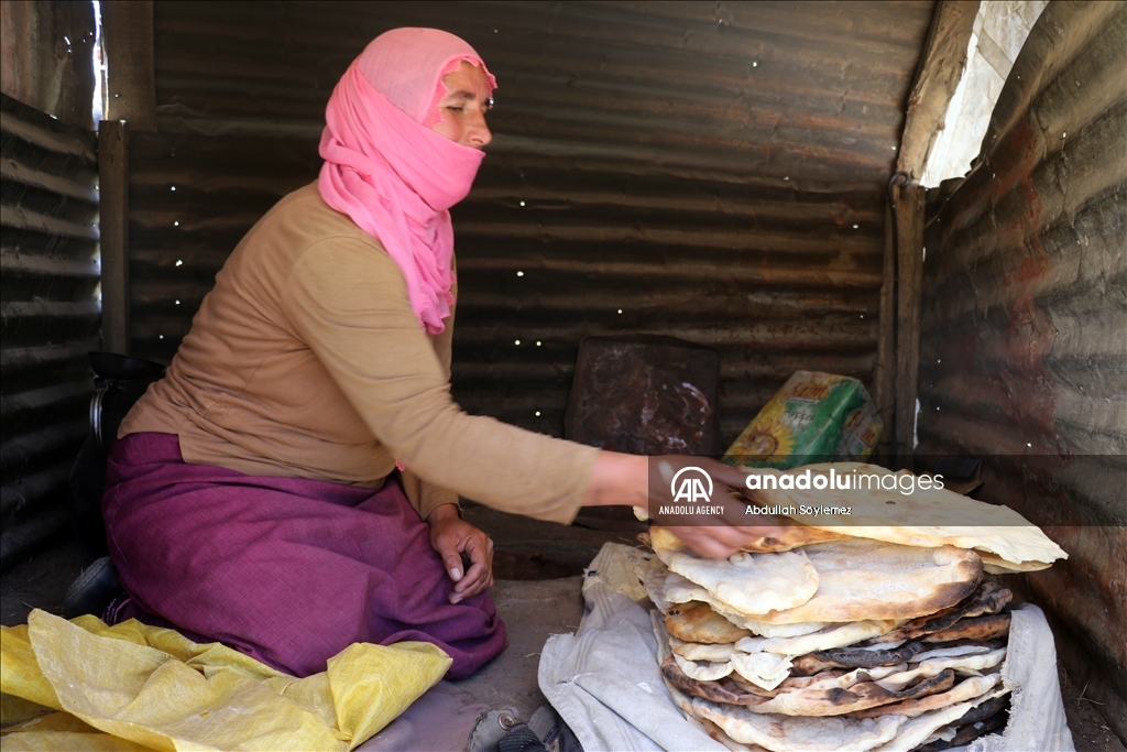 Zozanên Agiriyê yên bi baranê xweş bûn ji bo koçeran warên sereke ne