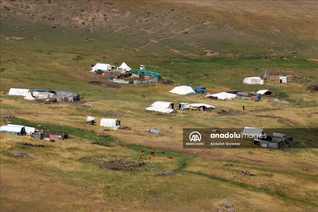 Zozanên Agiriyê yên bi baranê xweş bûn ji bo koçeran warên sereke ne