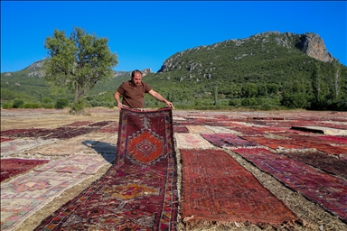 Turkiye: Zanimljivi prizori šarolikih "polja ćilima" u Antaliji 