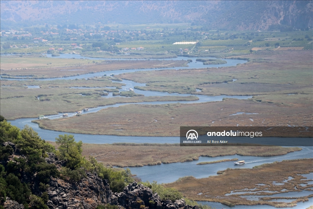 Labirent görünümlü Dalyan sazlıklarında yolculuk