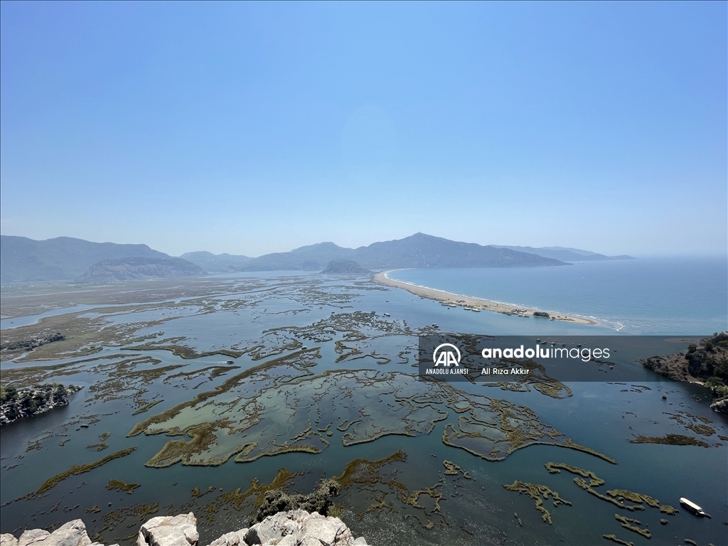 Labirent görünümlü Dalyan sazlıklarında yolculuk
