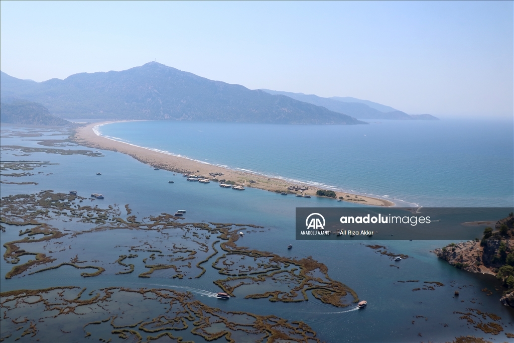 Labirent görünümlü Dalyan sazlıklarında yolculuk