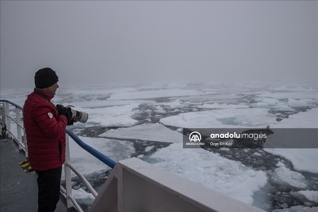 İklim değişikliği Kuzey Kutup canlılarının yaşam alanını tehdit ediyor