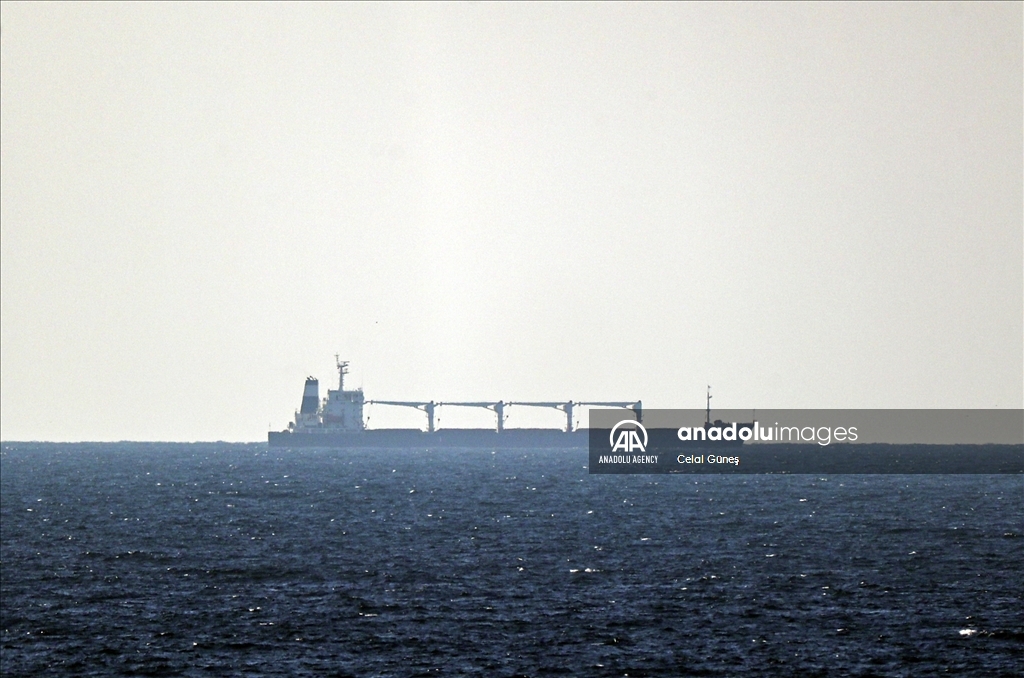 1st grain-loaded ship left Ukraine anchors off coast of Istanbul