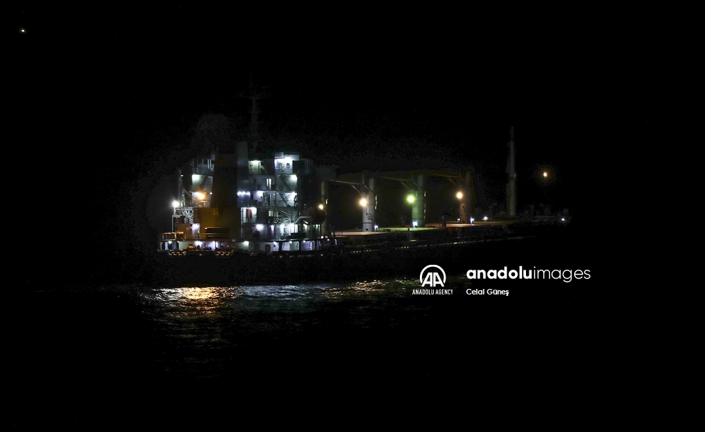 1st grain-loaded ship left Ukraine anchors off coast of Istanbul
