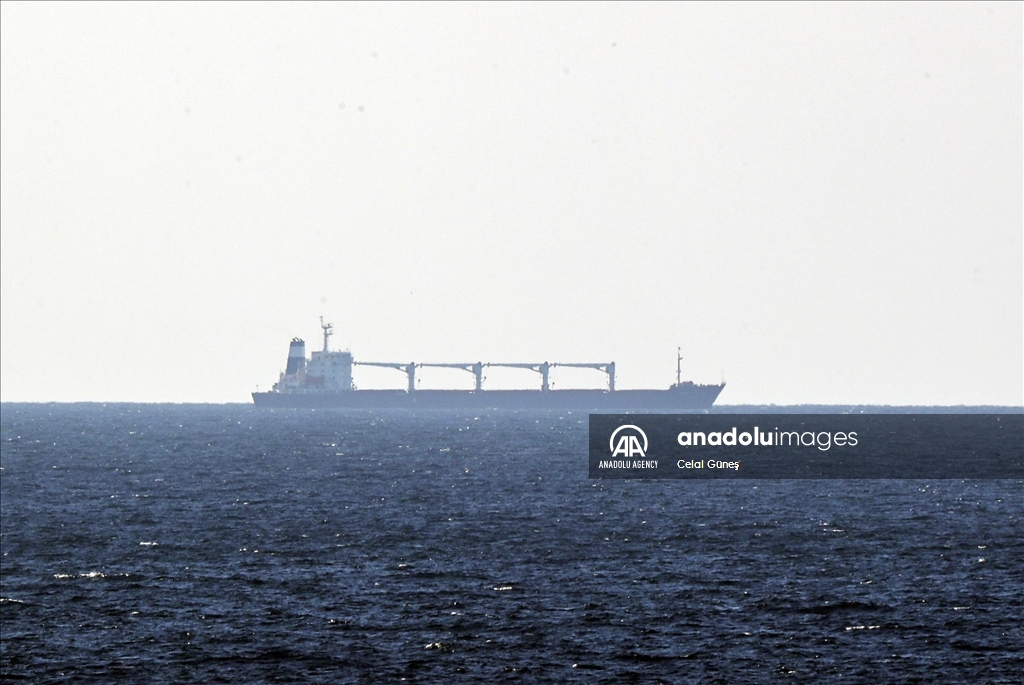 1st grain-loaded ship left Ukraine anchors off coast of Istanbul