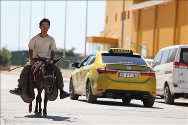 Japanski turista s magarcem proputovao Turkiye
