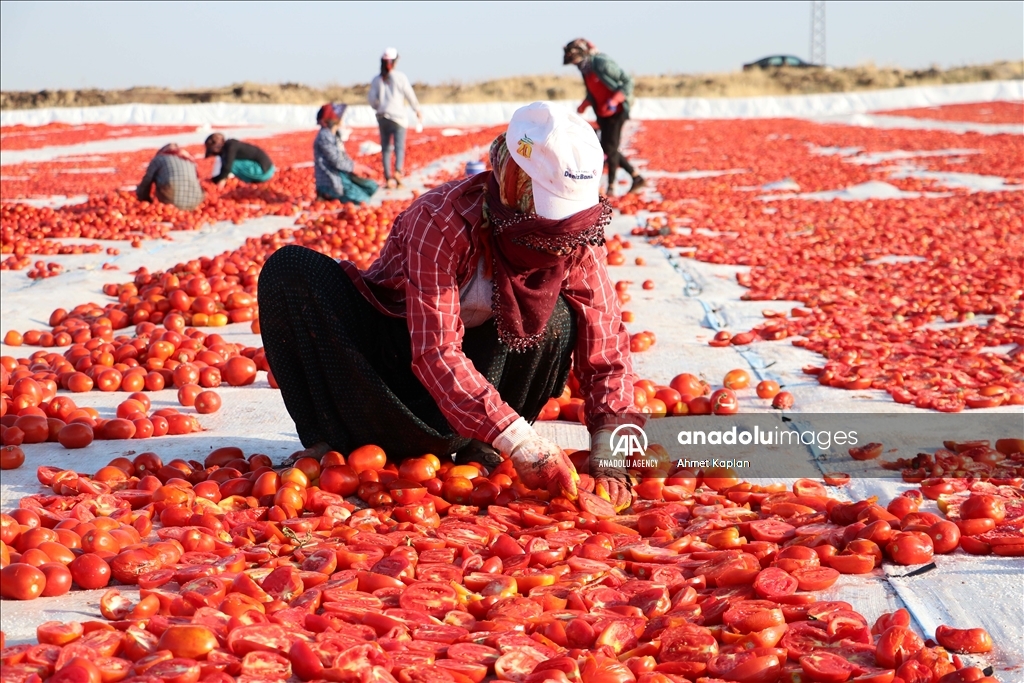 Li Diyarbekirê hişkkirina firingiyan dest pê kir