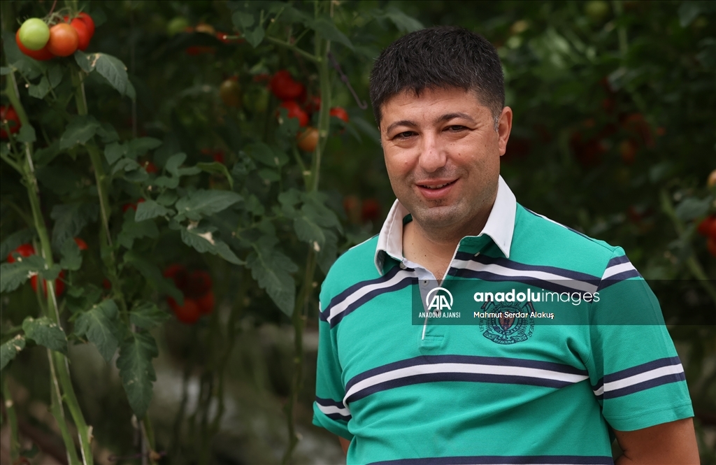 Tarımsal üretimde çevreci ve ekonomik sistem: Jeotermal seralar