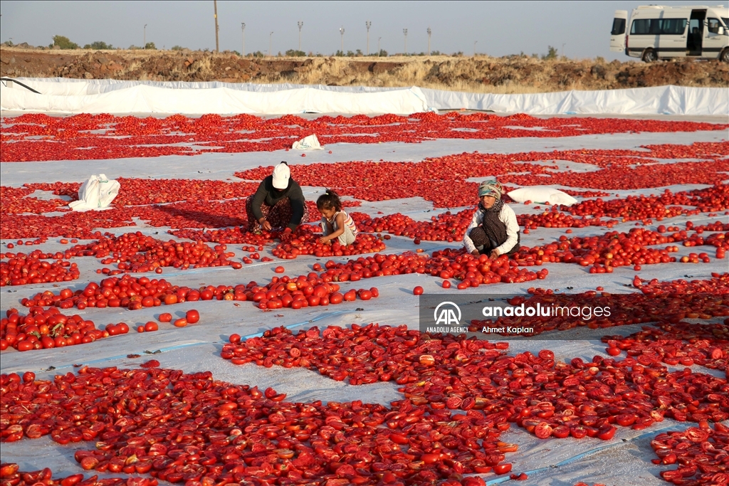 Li Diyarbekirê hişkkirina firingiyan dest pê kir