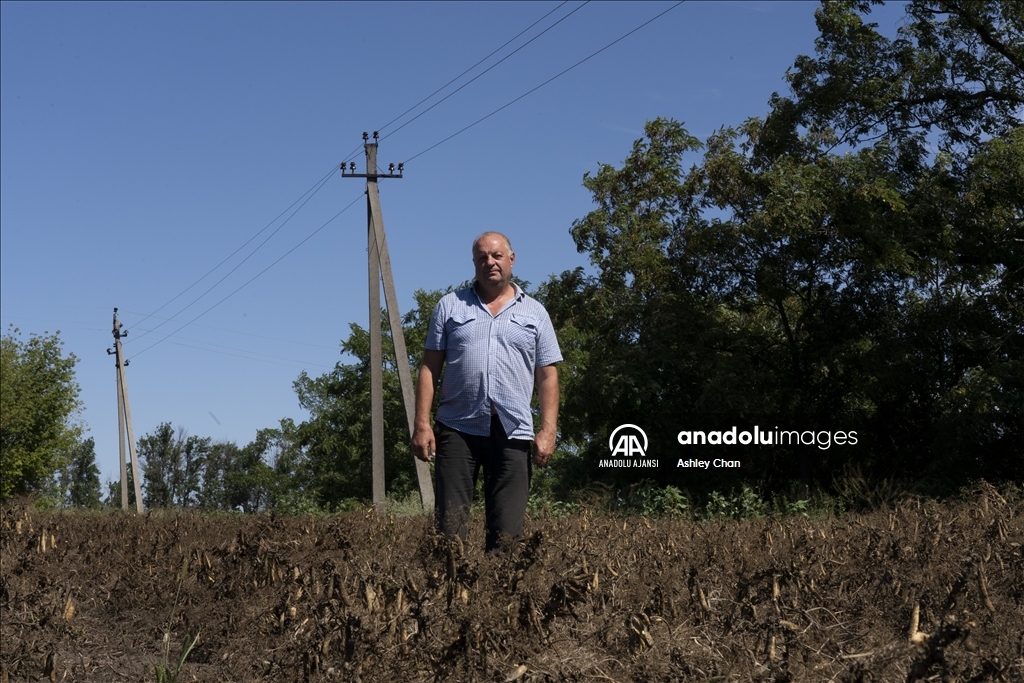 Savaşa bölgelerindeki Ukraynalı çiftçiler