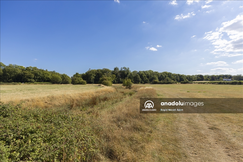 İngiltere'deki Thames Nehri'nin kaynağı kuruyor