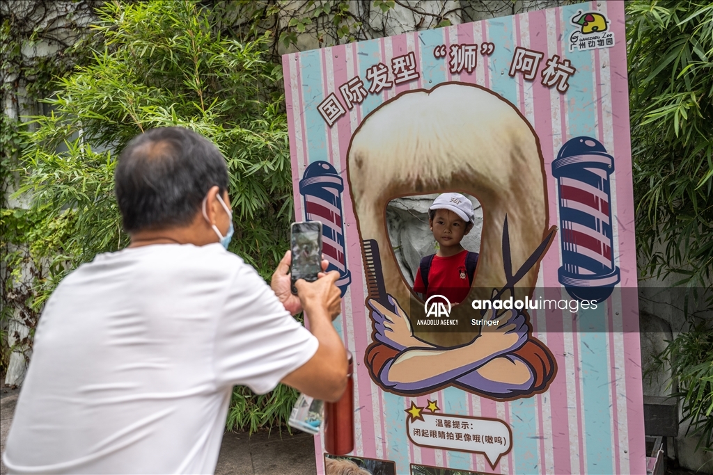 World Lion Day in China’s Guangzhou