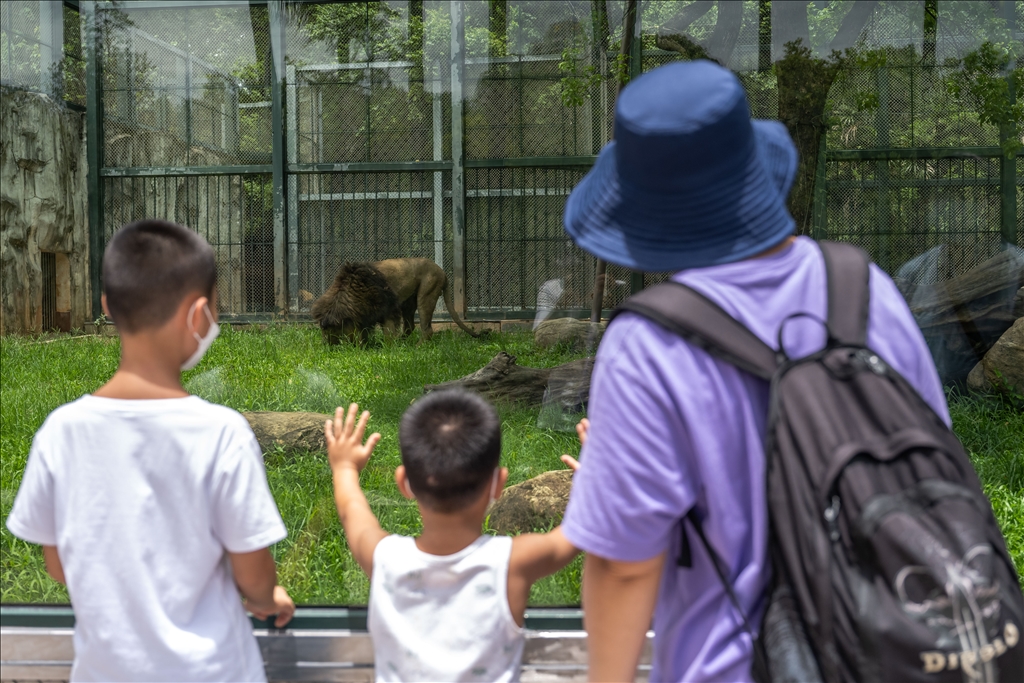 World Lion Day in China’s Guangzhou