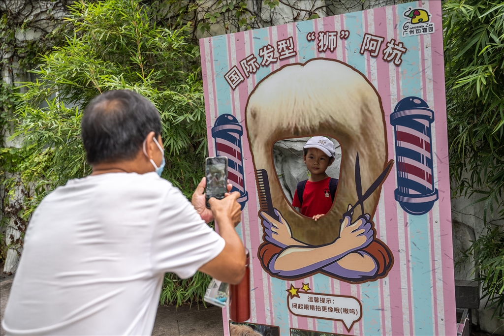 World Lion Day in China’s Guangzhou