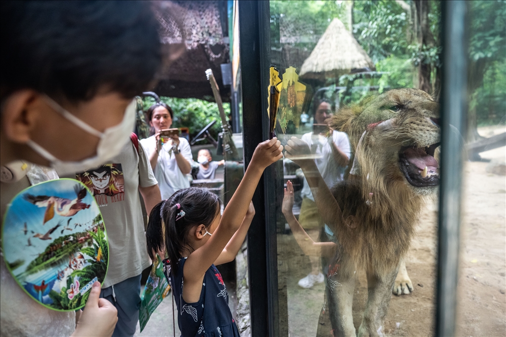 World Lion Day in China’s Guangzhou