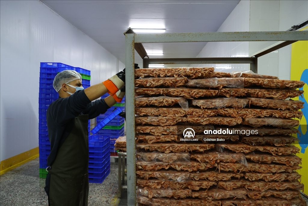 Yunanistan'ın tercihi Saros ahtapotu
