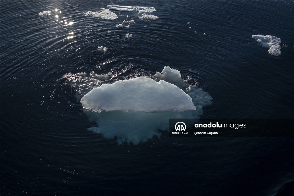 Azalan deniz buzu sadece kutup ekosistemini değil tüm dünyanın iklimini etkiliyor