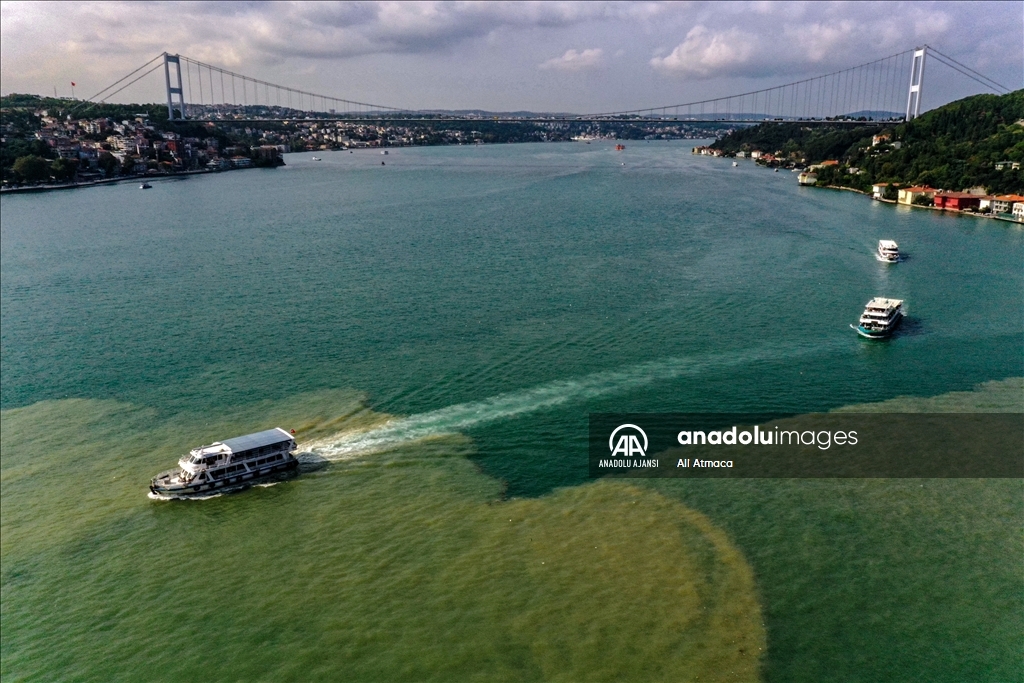 İstanbul'da etkili sağanak yağış
