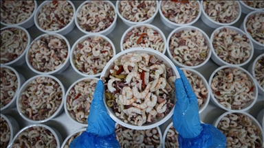 Balıkesir'de işlenen karides ve salyangozlar 37 ülkeye satılıyor