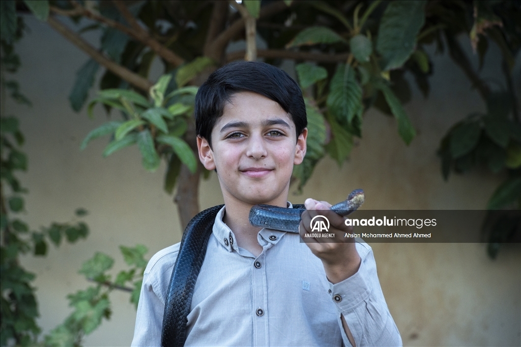 هاووڵاتییەکی پارێزگای دهۆک ٤٠ ساڵە مار بەخێو دەکات